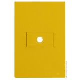 Placa Furo Horizontal 4x2 - RECTA MOSTARDA SATIN FOSCO 